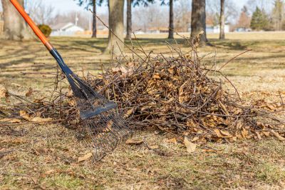 Brush Pick Up - Home Improvement And Repairs Sioux City, Iowa