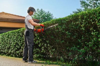 Hedge Trimming - Home Improvement And Repairs Sioux City, Iowa