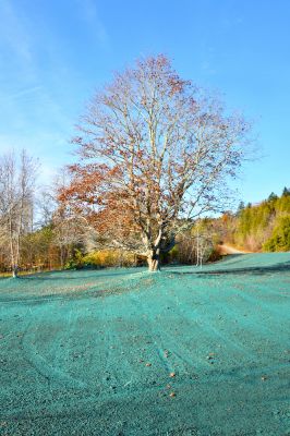 Hydroseeding - Home Improvement And Repairs Sioux City, Iowa