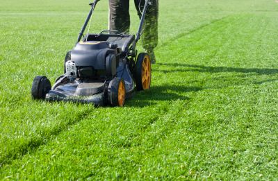Lawn Cutting - Home Improvement And Repairs Sioux City, Iowa