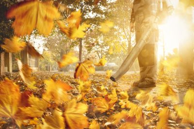Leaf Removal - Home Improvement And Repairs Sioux City, Iowa